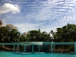 Tiara (D9), Condominium #73988762